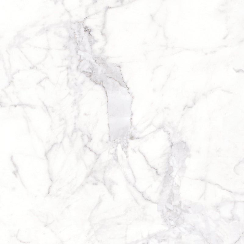 MARBLES - BIANCO CARARRA - 24" x 48"