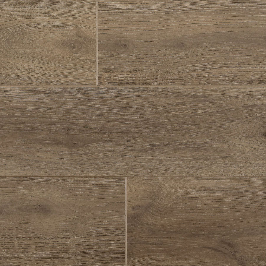 STUDIO - COGNAC - 6.5″ × 48″