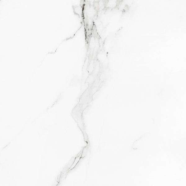 PRECIOUS - CALACATTA MATTE 24" x 24"