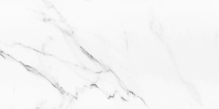 PRECIOUS - CALACATTA MATTE #PRCAM 14" x 28"