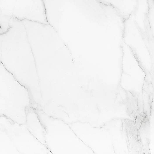 PRECIOUS - CALACATTA GLOSSY 24" x 24"
