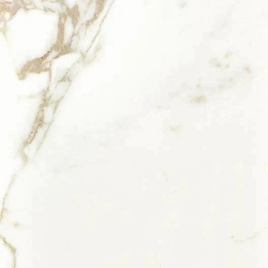 PRECIOUS - CALACATTA GOLD GLOSSY 24" x 24"