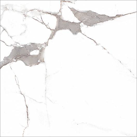 MARBLES - STATUARIO - 24" x 24"